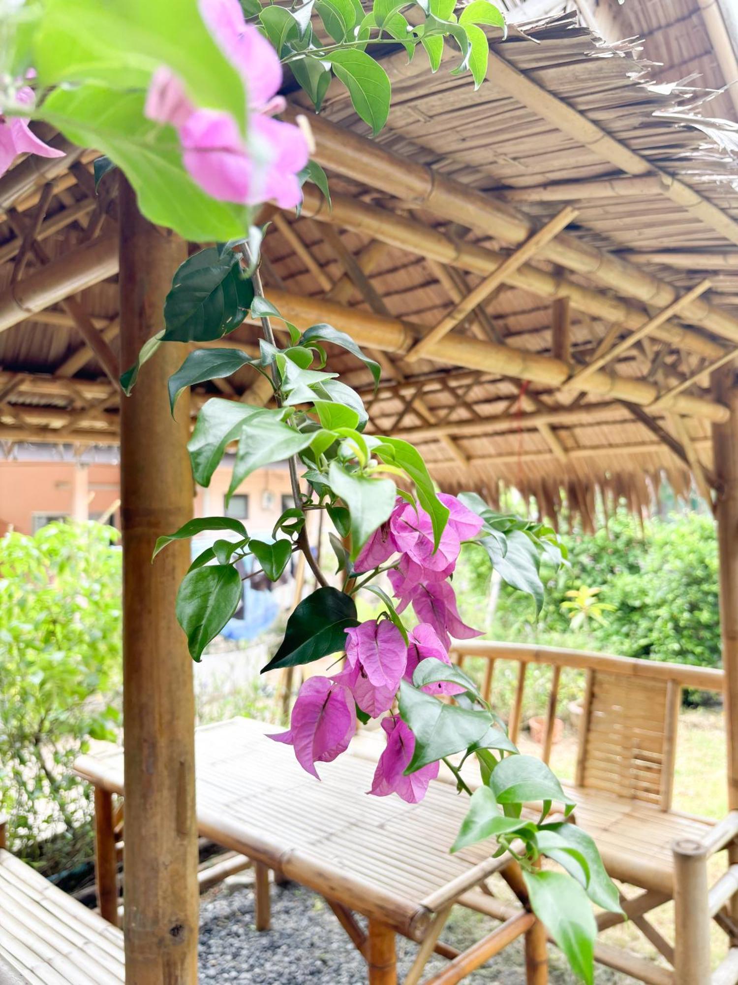 Bed and Breakfast Les Fleurs House Као-Лак Екстер'єр фото